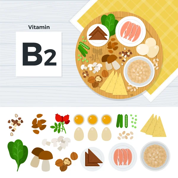 Produkty s vitamín B2 — Stockový vektor