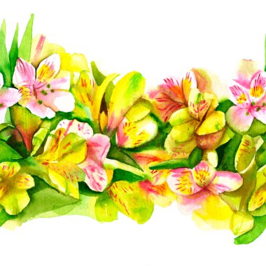 Kusursuz desenli Alstroemeria suluboya çizimi