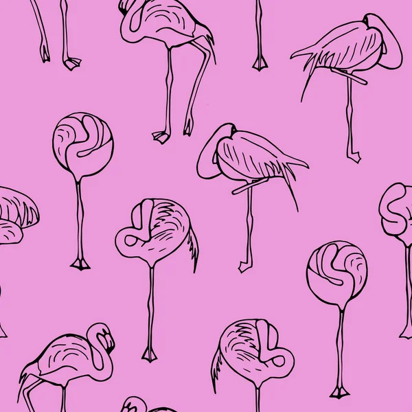 Kusursuz Desen Çizgisi Flamingo Pembe Arkaplan Vektörü — Stok Vektör