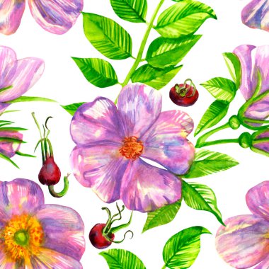 Kusursuz desenli pembe gül yapraklı ve meyveli suluboya