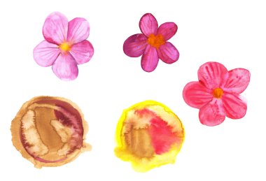 Suluboya lekeleri ve pembe çiçekler