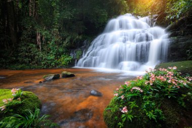 Mun Daeng şelale, derin orman, Phu Hin Rong Kla Milli Parkı Tayland güzel şelale