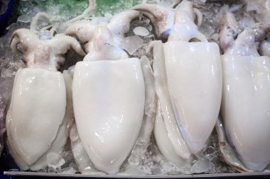 Tayland markette taze kalamar