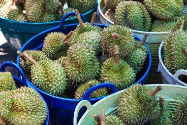 Durian meyve Market Tayland