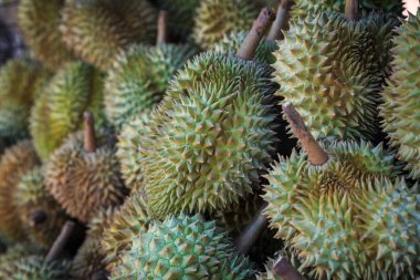 Durian meyve Market Tayland
