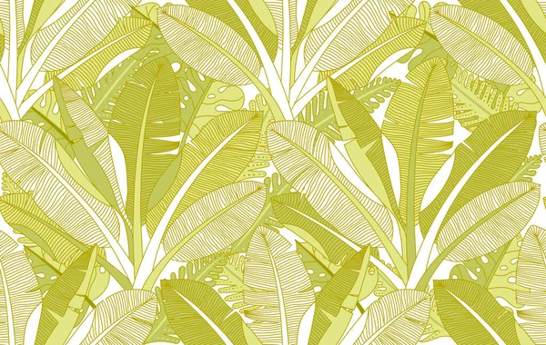 Planta Exótica Palmeira Ilustração Botânica Bananas Árvore Vetor Sem Costura Vetor De Stock