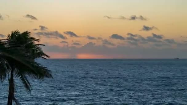 नाटकीय सूर्योदय पाम वृक्ष काई हवाई पासून महासागरावर वेळ गळती — स्टॉक व्हिडिओ