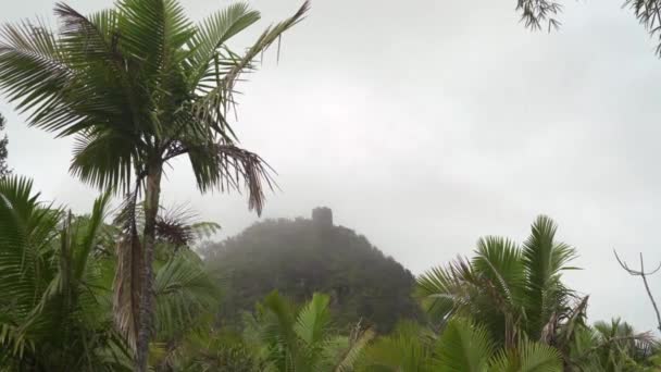 Stone tower on tropical hillside engulfed in clouds El Junque — Stock Video