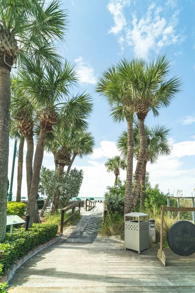 Palm tree path to beach at Don Cesar Hotel St. Pete beach Florida — Stock Photo, Image