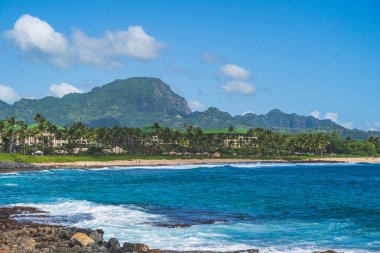 Hawaii adasındaki Poipu noktasından görülen gemi enkazı plajı