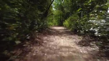 Düşük açı, yere yakın tropikal yol boyunca hızla ilerliyor.