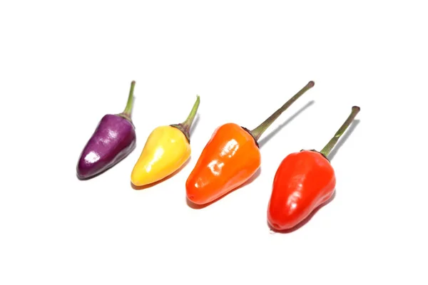 Hot Chili Peppers Isolated White — Stock Photo, Image