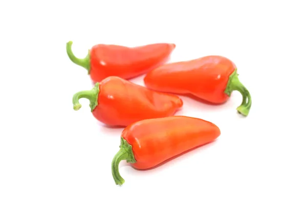 Röd Chili Paprika Isolerad Vit — Stockfoto