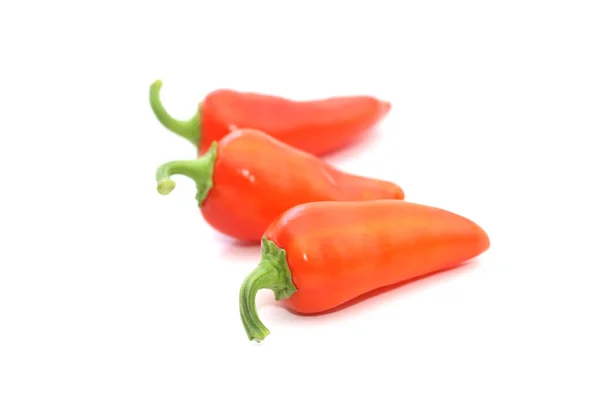 Red Chili Peppers Isolated White — Stock Photo, Image