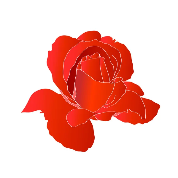 Διάνυσμα μοναχικό λουλούδι κόκκινο άνθος — Διανυσματικό Αρχείο