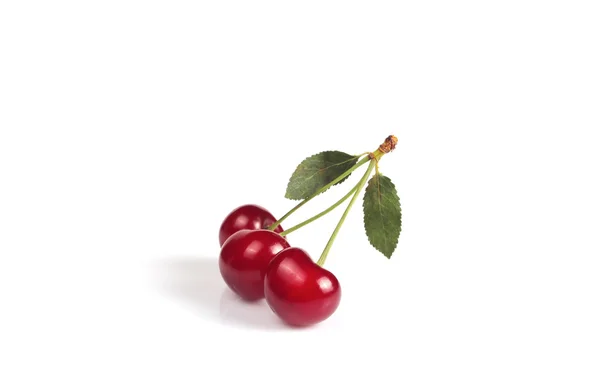 Bayas rojo cereza con hojas —  Fotos de Stock