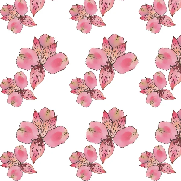 Pembe suluboya Lily vektör çiçek