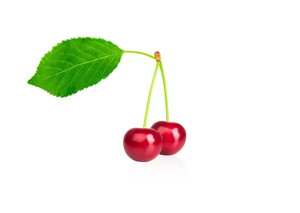 tatlı kiraz yaprakları ile