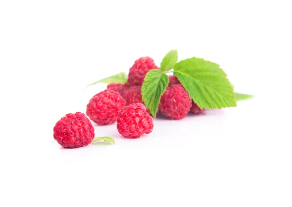 Ahududu beyaz zemin üzerine bir avuç