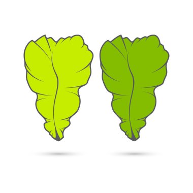salata yaprakları.