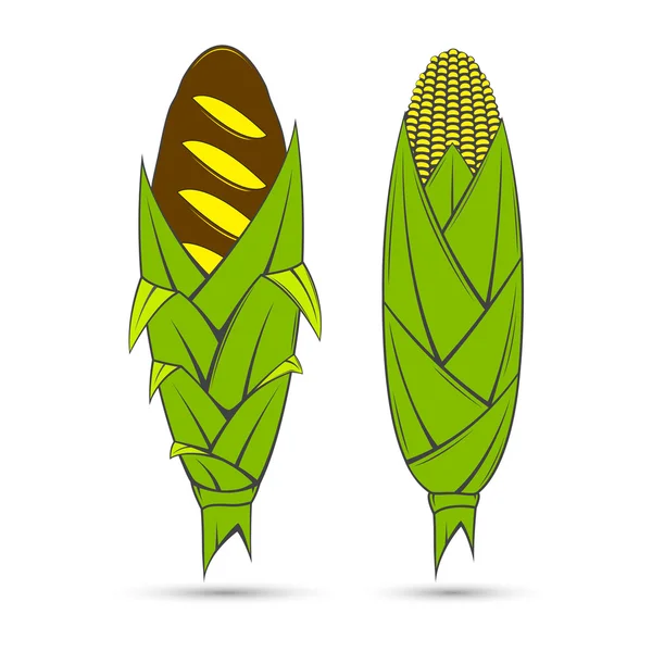 Pan y maíz — Vector de stock