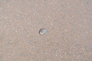 Geniş bir arkaplanda taş var.