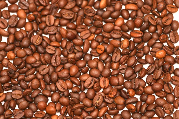 Ristede kaffebønner på en notesbog, arabica - Stock-foto