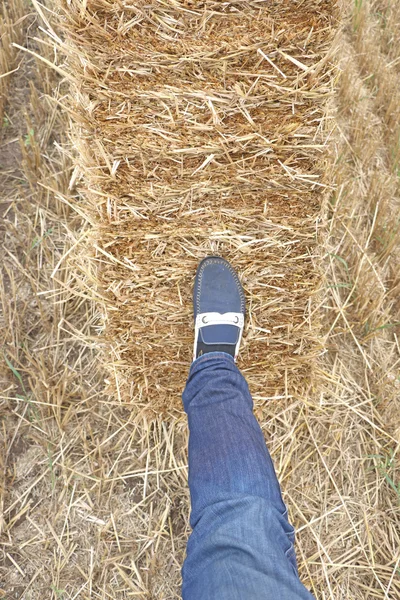 Men right foot pressed on straw bales.