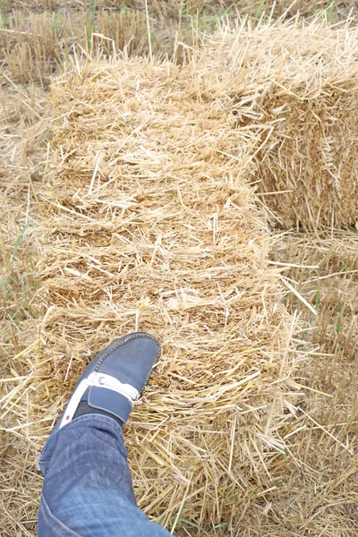 Men left foot pressed on straw bales.