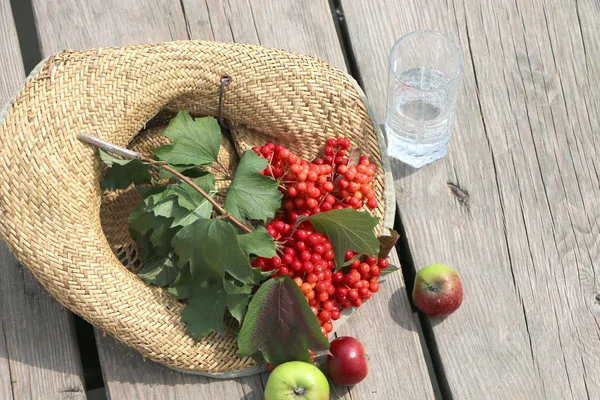 Red Berries Viburnum Wooden Table Straw Hat — Stock Photo, Image