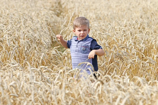 Krásnej pohlednej chlapeček na poli pšenice . — Stock fotografie