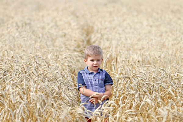 Krásnej pohlednej chlapeček na poli pšenice . — Stock fotografie