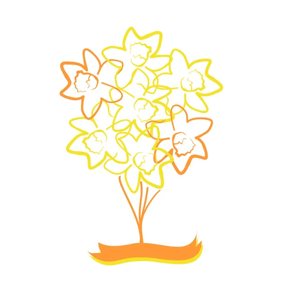 Bouquet of flowers daffodils — Stock Vector