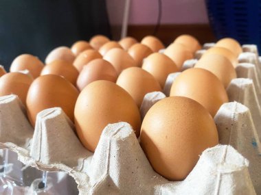 Kağıt yumurta tavasına yerleştirilmiş taze tavuk yumurtaları. Besin reklamı olarak kullanılabilir..