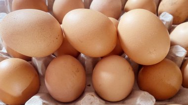 Kağıt yumurta tavasına yerleştirilmiş taze tavuk yumurtaları. Besin reklamı olarak kullanılabilir..