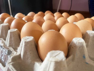 Kağıt yumurta tavasına yerleştirilmiş taze tavuk yumurtaları. Besin reklamı olarak kullanılabilir..