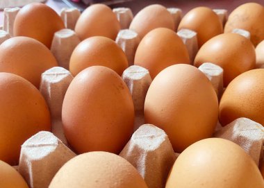 Kağıt yumurta tavasına yerleştirilmiş taze tavuk yumurtaları. Besin reklamı olarak kullanılabilir..