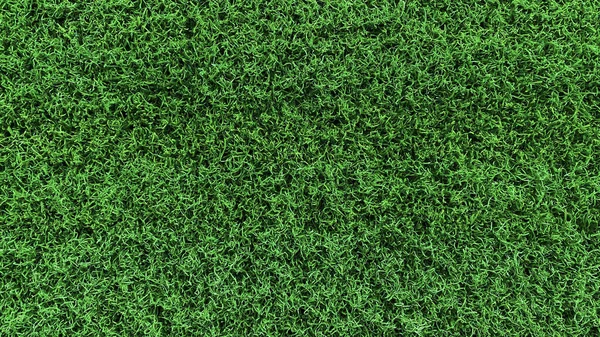 Área Campo Fondo Textura Hierba Verde Una Hierba Que Corta — Foto de Stock