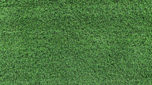 Yeşil Çimen Arka Plan Alanı Kısa Görünen Eşit Kesimli Tasarımda — Stok fotoğraf
