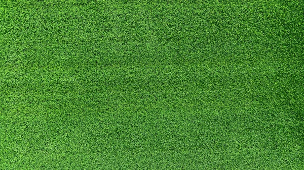 绿草背景区绿草背景区是一种矮小 剪裁均匀的草坪 在设计上适于墙纸制作 还有图形 — 图库照片
