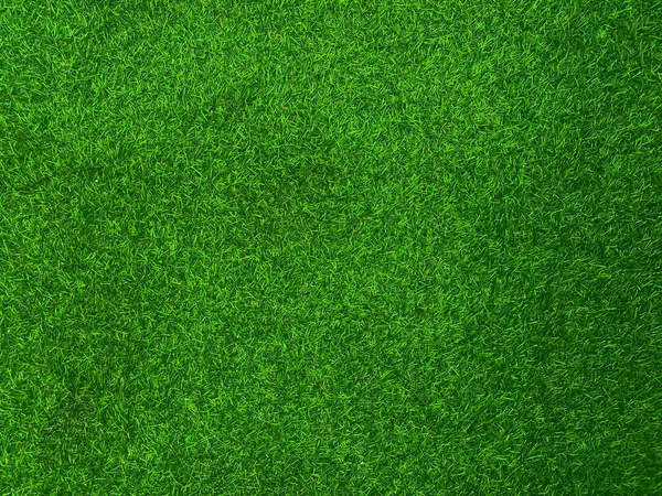 Grünes Gras Textur Hintergrund Gras Garten Konzept Für Die Herstellung — Stockfoto