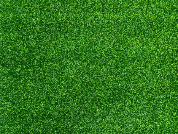 Zelená Tráva Textura Pozadí Tráva Zahrada Koncept Použitý Pro Výrobu — Stock fotografie