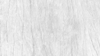 Eski ahşap çatallı, gri-beyaz tonlu. Duvar kağıdı veya arkaplan resmi için bunu kullanın. Metin için boş bir boşluk var.