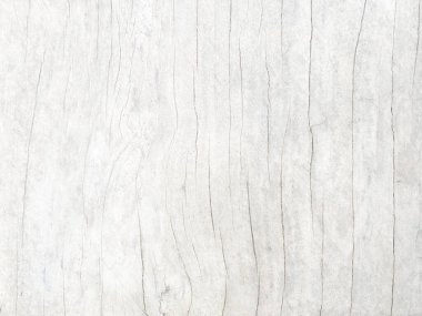 Eski ahşap çatallı, gri-beyaz tonlu. Duvar kağıdı veya arkaplan resmi için bunu kullanın. Metin için boş bir boşluk var.