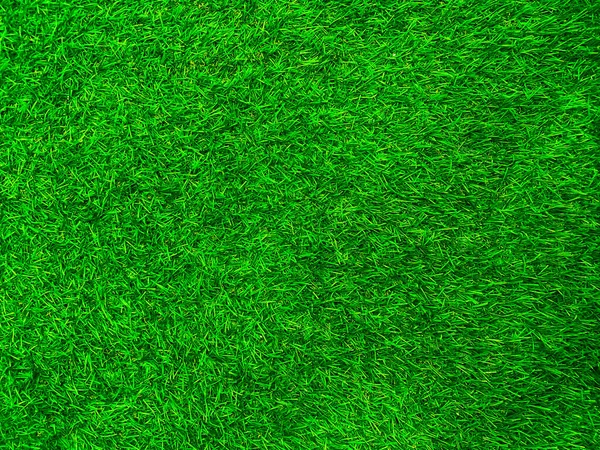 Vert Herbe Texture Fond Herbe Jardin Concept Utilisé Pour Faire — Photo