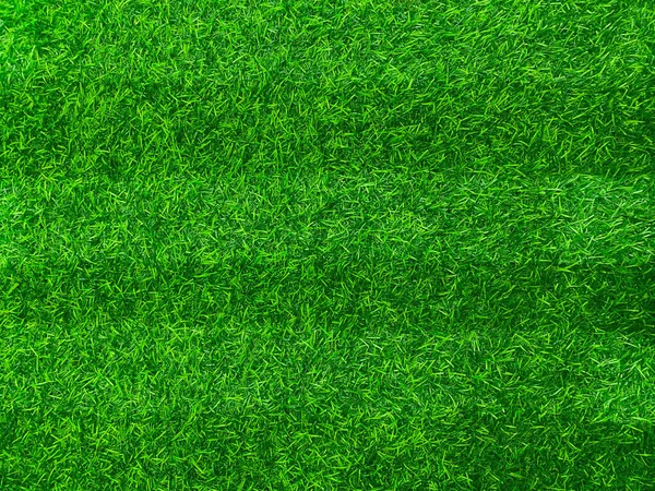 Verde Hierba Textura Fondo Hierba Jardín Concepto Utilizado Para Hacer —  Fotos de Stock