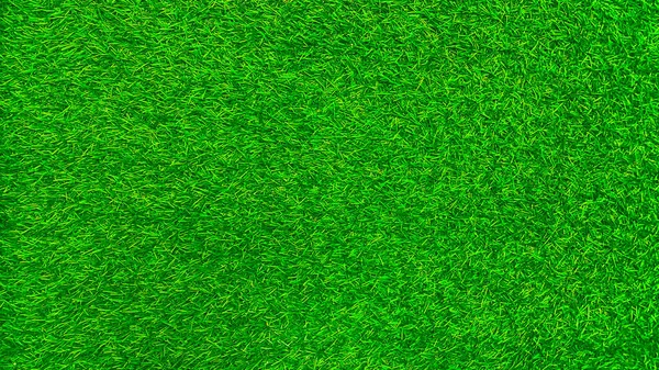 Verde Hierba Textura Fondo Hierba Jardín Concepto Utilizado Para Hacer — Foto de Stock