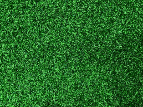 Grön Gräs Struktur Bakgrund Gräs Trädgård Koncept Som Används För — Stockfoto