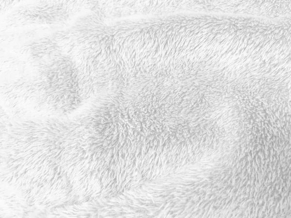 White Clean Wool Texture Background Light Natural Sheep Wool White — Stock Photo, Image