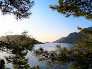 Harika deniz manzarası, Türkiye 'nin Datca Yarımadası' nın Icmeler Körfezi 'nden Ege Denizi' ne uzanan çam dalları arasında güzel bir manzara..